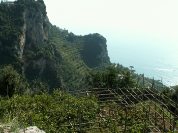 Panorama verso valle.